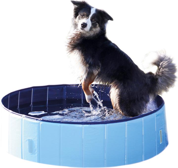 Immagine prodotto Trixie Piscina per cani (Piscina per cani)