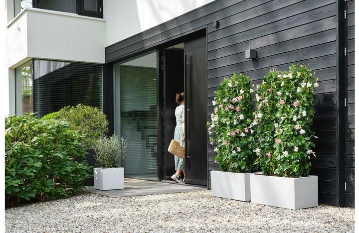 Produktbild Elho Vivo Next Quadrat (39 x 39 x 37.90 cm)