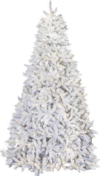 Produktbild Star Trading Kerzenleuchter Navida