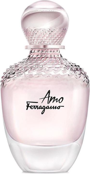 Salvatore Ferragamo Amo (Eau de Parfum, 100 ml)