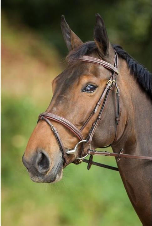 Image du produit HFI Master Comfort