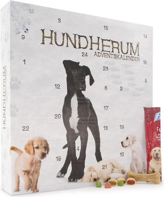 TOP Hunde