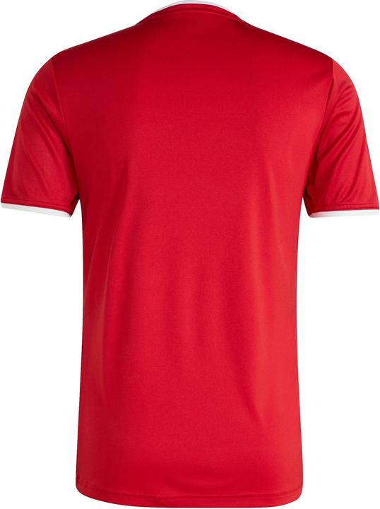 Actual product image Adidas Entrada T-Shirt (XL)