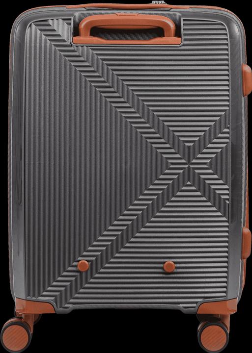 Actual product image Swissbags New Vision (51 l)