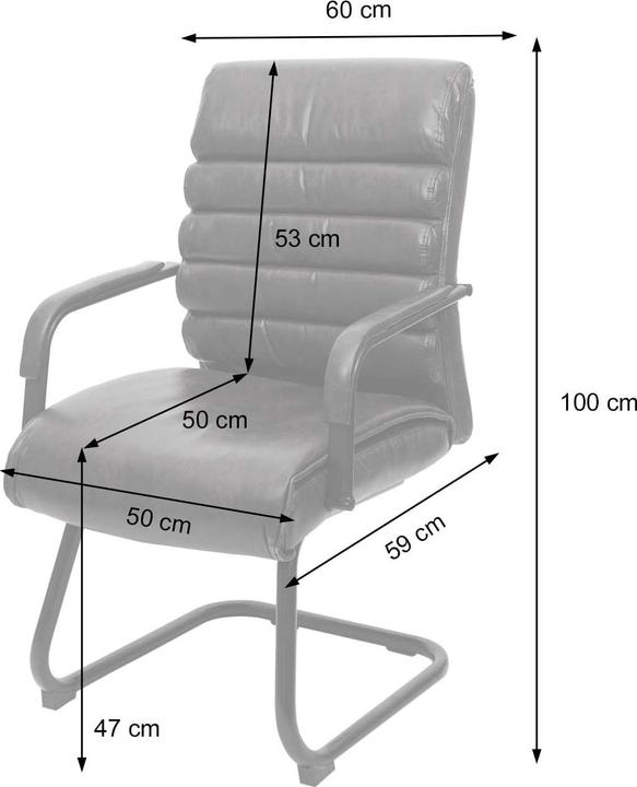 Image du produit JOHN316 Freischwinger Stuhl