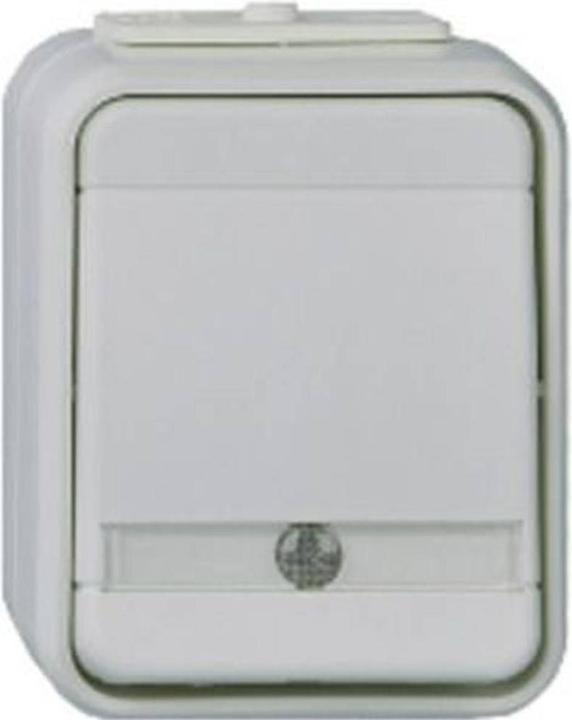 Actual product image ELSO W.Contr.switch