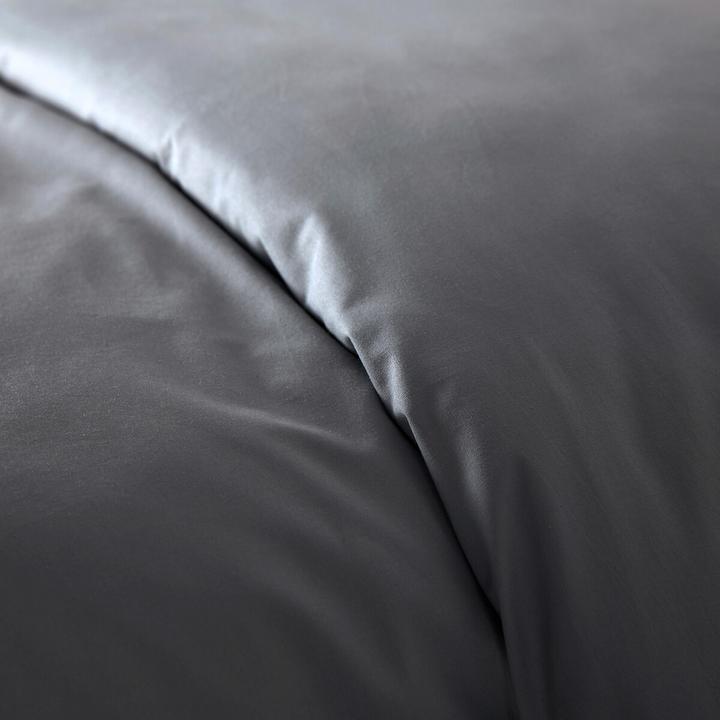 Image du produit La Redoute Interieurs Scénario (240 x 220 cm)
