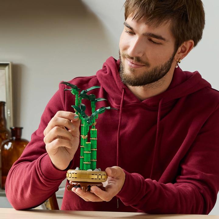 Immagine prodotto LEGO Glücks-Bambus (10344, LEGO Botanical)