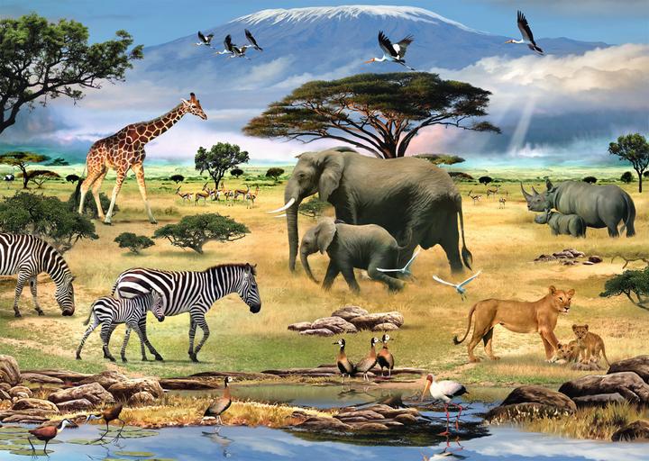 Actual product image Ravensburger Animals of Africa (1000 pieces)