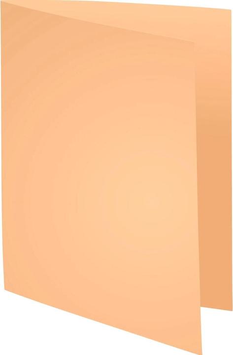 Immagine prodotto Exacompta Scrapbook - Copertine di file (A4, 100x)