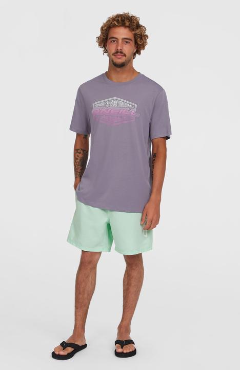 Actual product image O'Neill CALI 16" SWIMSHORTS (S)