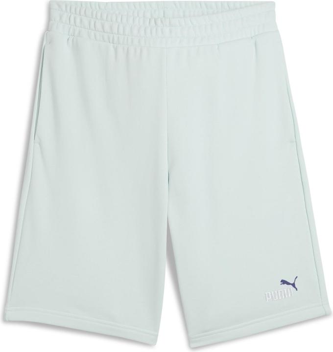 Actual product image Puma ESS 2 COLOR No. 1 Logo Shorts 10" TR (L)