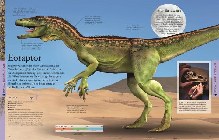 Produktbild Dinosaurier und andere Tiere der Urzeit für clevere Kids (Deutsch, DK Verlag - Kids, 2019)