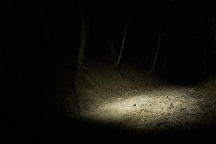 Produktbild ArmyTek Wizard C2 WUV Multifunktionslampe white & ultraviolet (11.20 cm, 1100 lm)