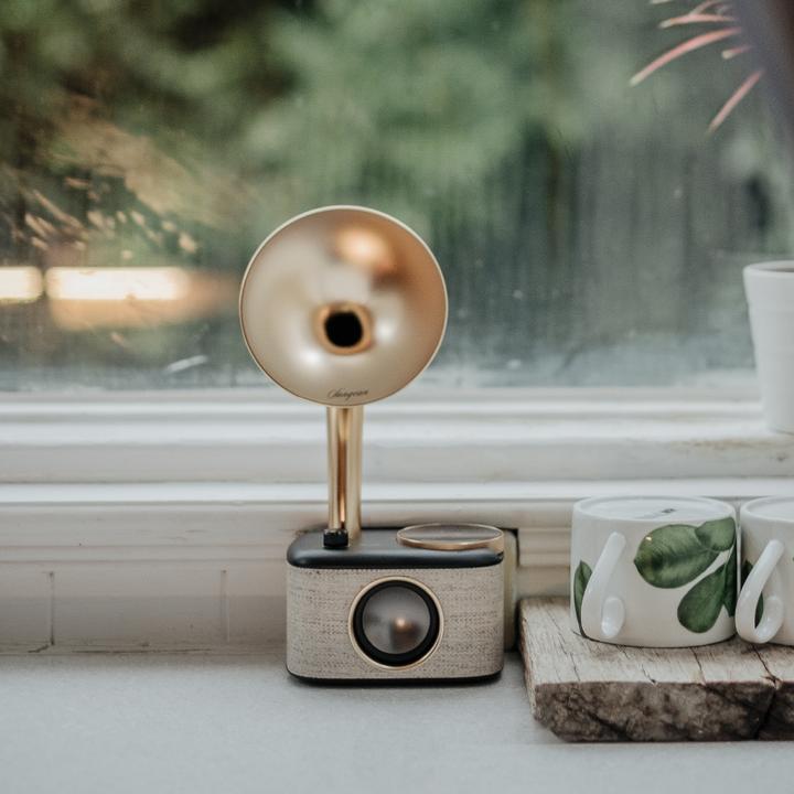 Image du produit Sangean CP 100D (DAB+ DAB, FM, Bluetooth)