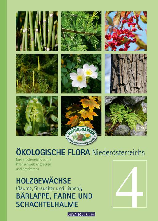 Produktbild Gehölze, Bärlappe, Schachtelhalme, Farne und Wasserpflanzen (Deutsch, Silvia Winter, Wolfgang Adler, Wolfgang Holzner, 2015)