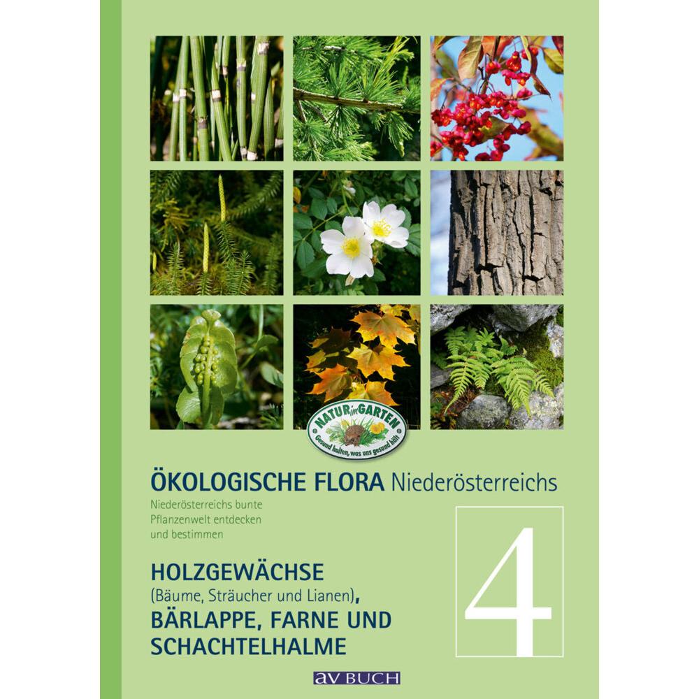 Gehölze, Bärlappe, Schachtelhalme, Farne und Wasserpflanzen, Sachbücher von Silvia Winter, Wolfgang Adler, Wolfgang Holz...