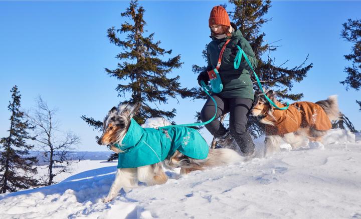 Immagine prodotto Hurtta Monsoon V2 Eco verde mackintosh, 30 cm (30, Cappotto impermeabile per cani)