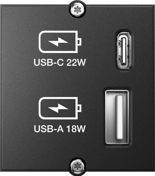 Produktbild Bachmann Custom Modul Charger (22 W)