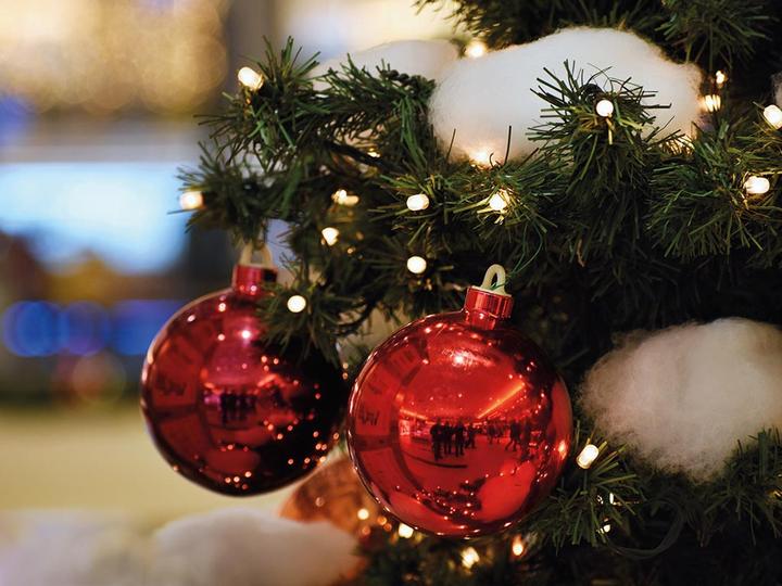 Actual product image Light Creations Novalight LED - 6 m - 40 warm white lamps - green cable (6 m)