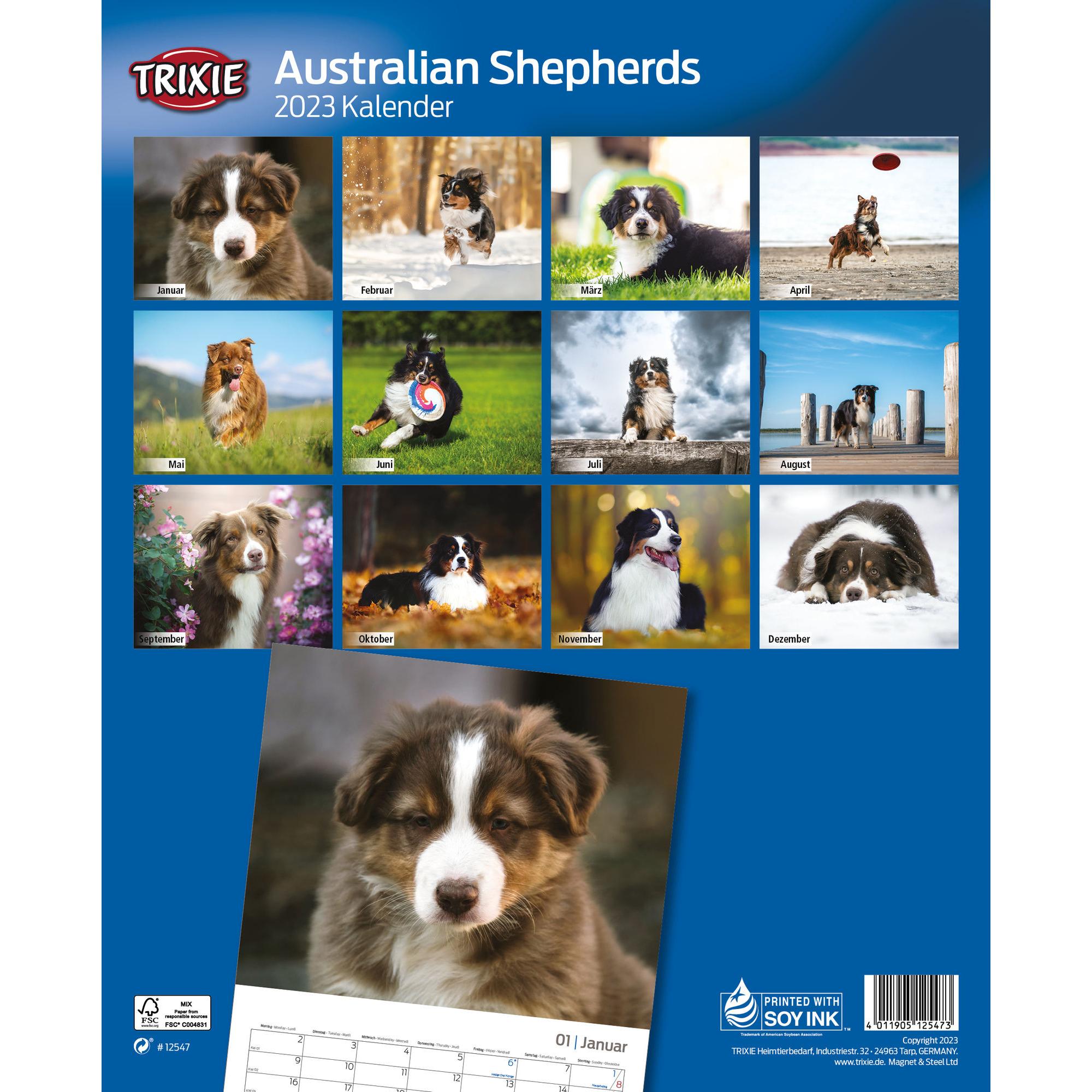 Thumbnail - Trixie, Kalender, Kalender Australian Shepherds