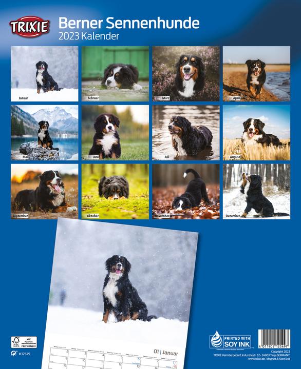 Actual product image Trixie Baby Calendar Bernese Mountain Dogs (35 x 28.5 cm, No binding, German)