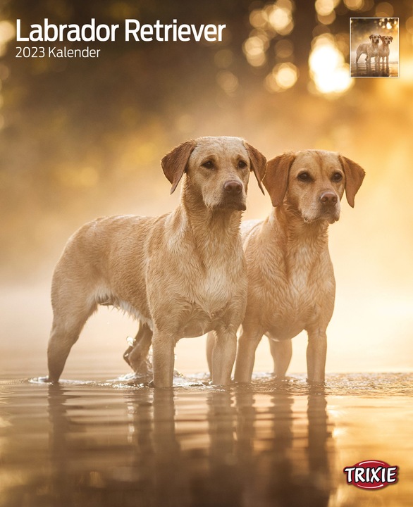 Produktbild Trixie Baby Kalender Labrador Retriever