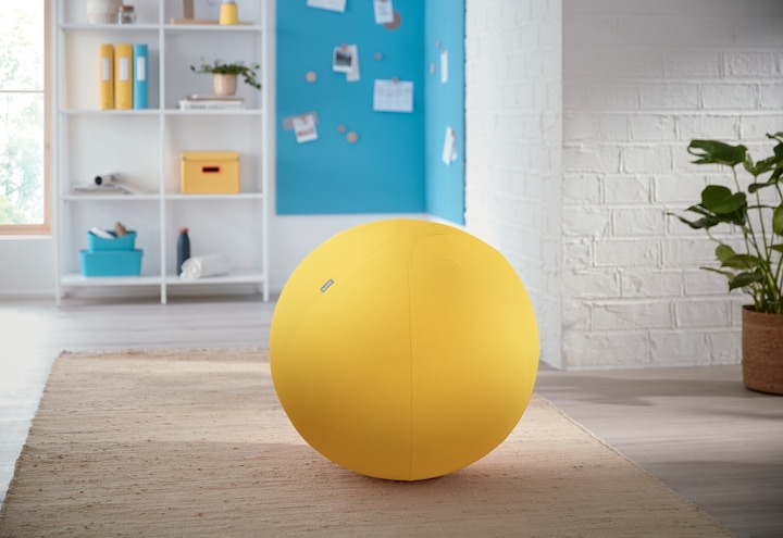 Image du produit Leitz Ballon-siège Ergo Cosy Active (65 cm)