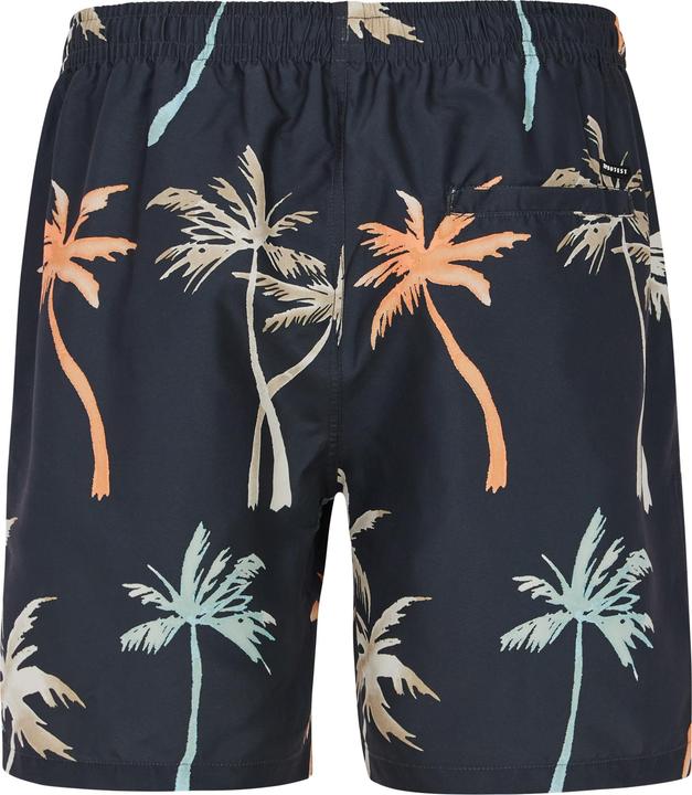 Produktbild Protest Herren PRTHear Strandshorts grau (L)