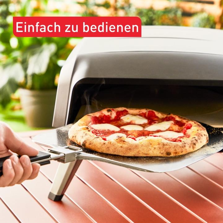 Actual product image Tefal Pizza Pronto JM4130 (Pizza oven gas)