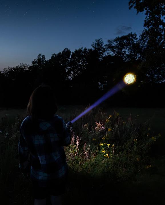 Actual product image Sandberg Survivor Torch (5000 mAh, 9 W, 18.50 Wh)