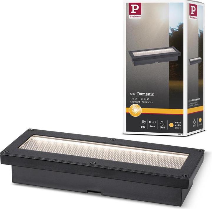 Actual product image Paulmann Solarleuchte Domenic (8 lm, IP67)