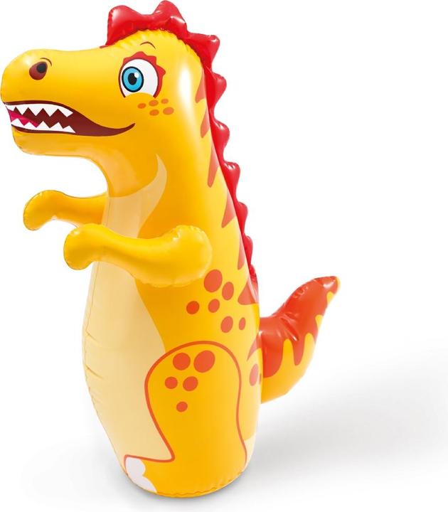 Actual product image Intex 3-D Bop Bags