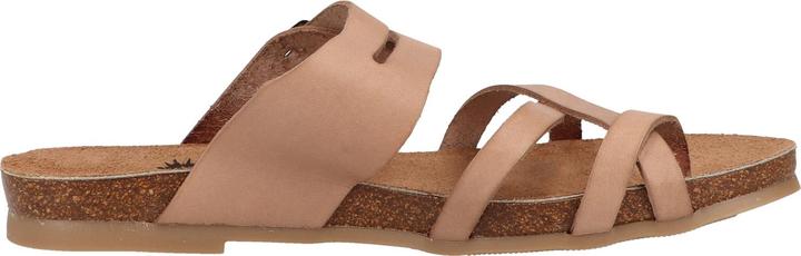 Image du produit Cosmos Comfort Tige d'orteil (40)