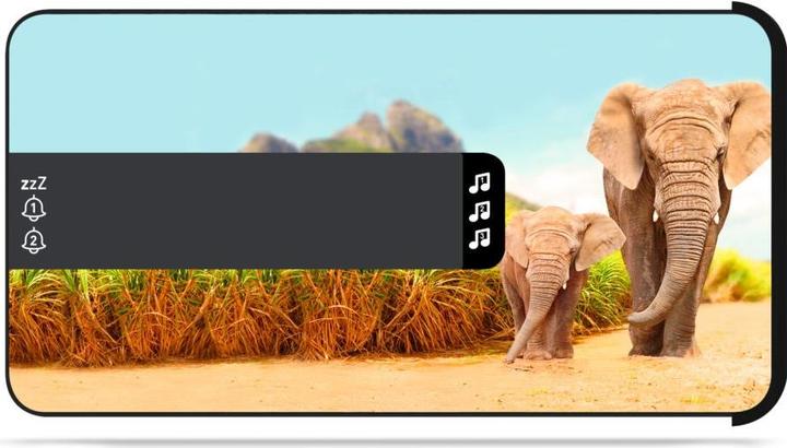 Productafbeelding Bigben Dubbele wekker R16 - Safari