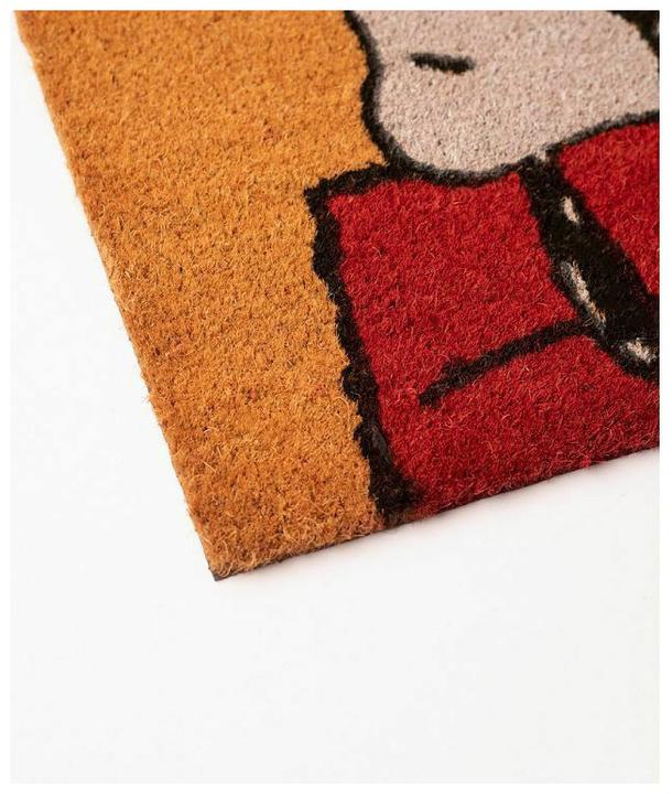 Productafbeelding Erik De Peanuts - Slapen op het dak (60 x 40 cm)