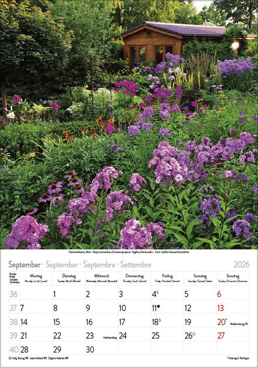 Produktbild Bltenzauber 2026