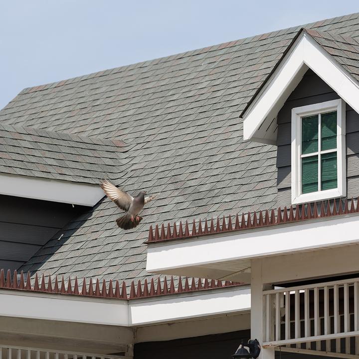 Produktbild Offgridtec Taubenabwehr Spikes