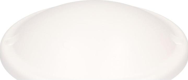 Immagine prodotto Steffen Rosa da soffitto