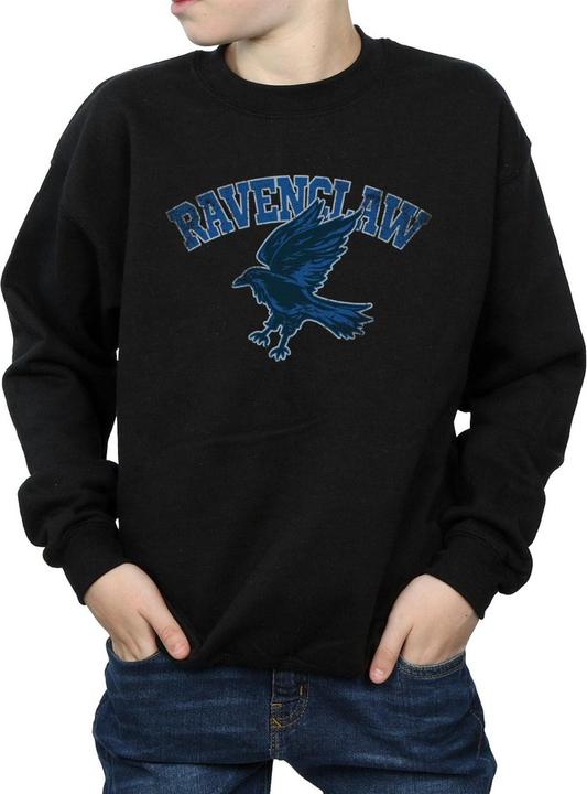 Immagine prodotto Ravenclaw Sport Emblem Felpa Ragazzi (152, 158)