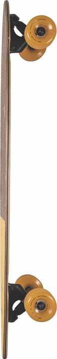 Image du produit Globe PINTAIL 34