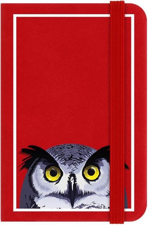 Image du produit Inquisitive Creatures Carnet de notes Hibou (À rayures)