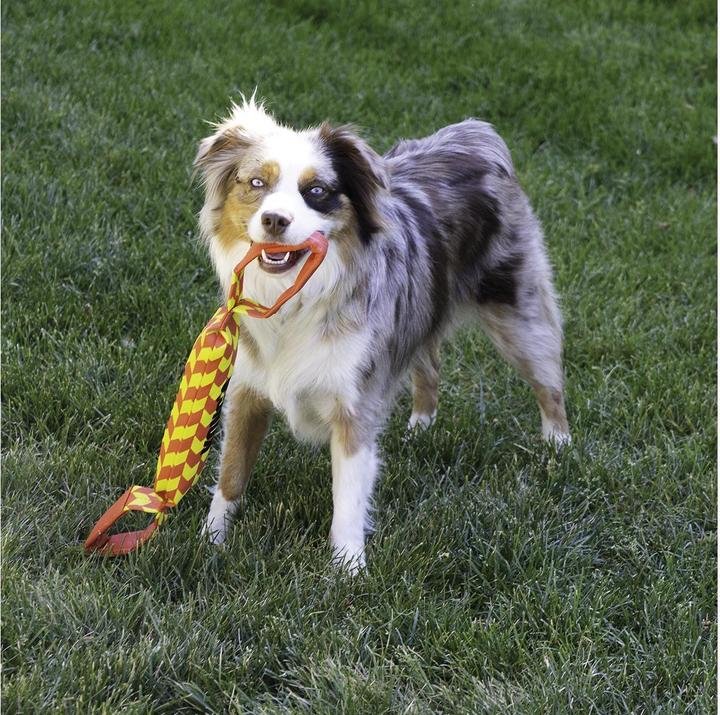 Produktbild KONG Maxx Tug (Zerrspielzeug Hund)