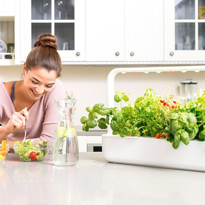 Image du produit Emsa Smart Garden 9 Click&Grow (60.50 x 18.50 x 59 cm)