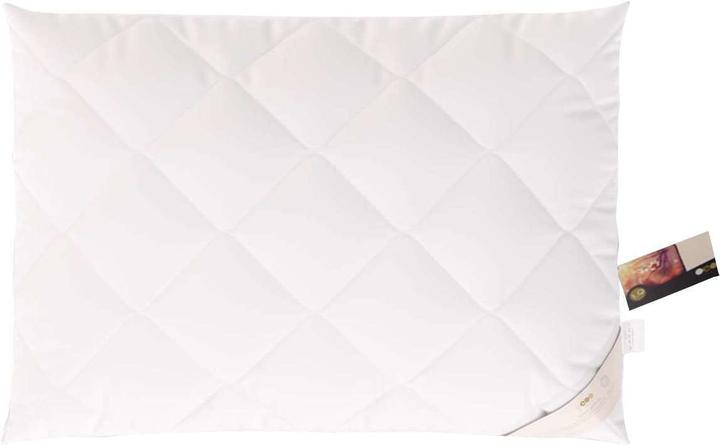 Immagine prodotto Erzstef Allergia Chemnitz (65 x 65 cm)