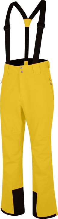 Actual product image Dare2b Ski Pants Achieve Ii (L)