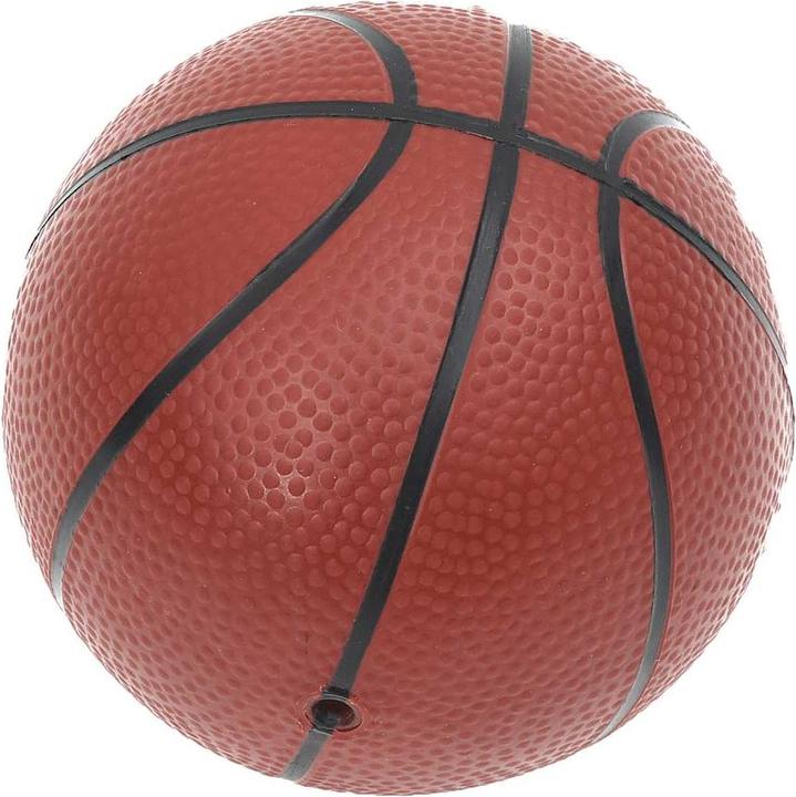 Immagine prodotto vidaXL Basketballkorb