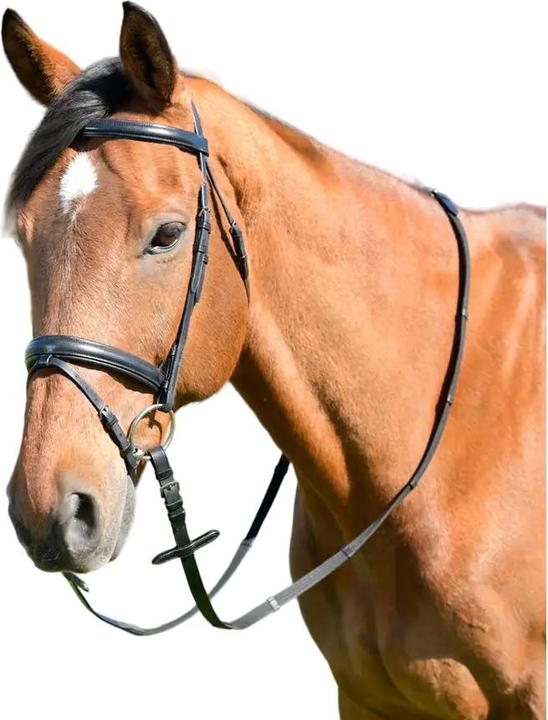 Kincade - Bride avec rênes pour chevaux CLASSIC