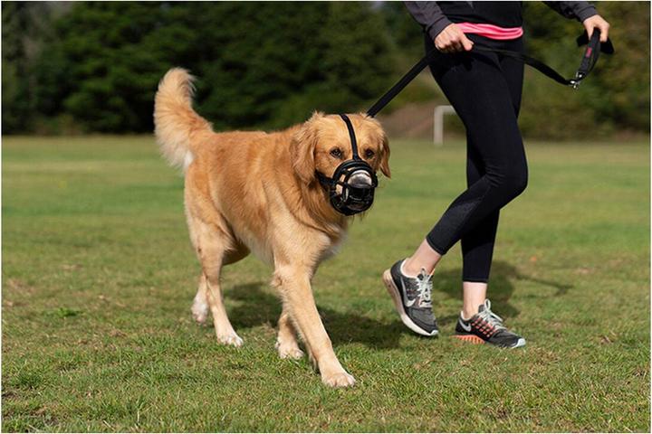 Produktbild Company of Animals Maulkorb Ultra Muzzle Gr. 2 (2, Hund, Allgemein)