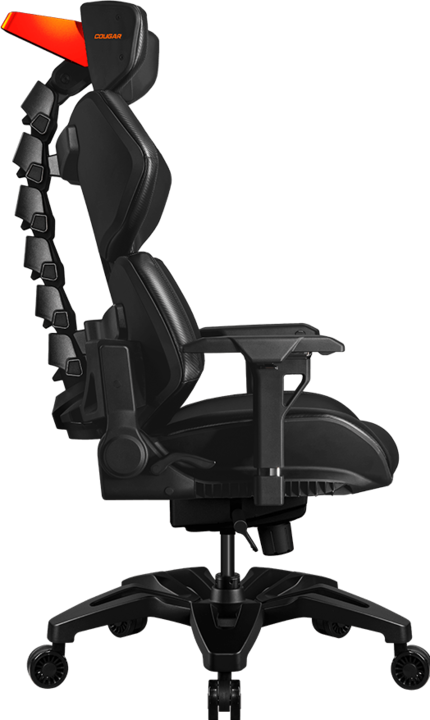 Image du produit Cougar Terminator